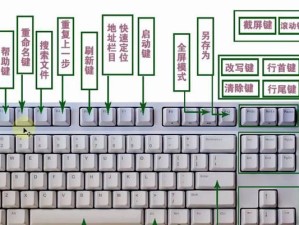 电脑键盘的认识与使用（掌握键盘，畅享电脑世界）
