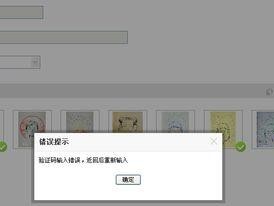 电脑输入验证错误解析（揭秘电脑输入验证错误的成因与解决方案）