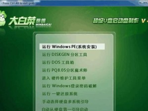 以大白菜开机装系统教程（用大白菜安装系统，轻松解决你的电脑问题）