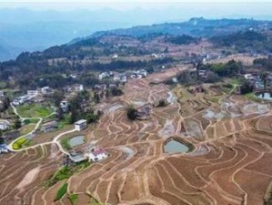 农田管家（助力农田规模化管理的农业智能解决方案）