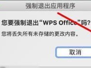 解决Mac电脑中WPS函数显示错误问题（排查和修复WPS函数显示错误的方法）