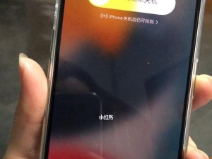 解决苹果电脑发生未知错误死机的方法（苹果电脑死机怎么办？一起来解决吧！）