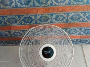 微鲸40D的功能和特点解析（探索微鲸40D的创新设计与卓越性能）