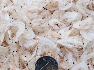 有货网商品质量如何？（探究有货网商品质量，选择放心购物的）