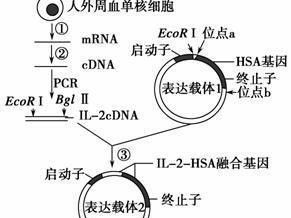 揭示人类基因的奥秘（探索基因的编码机制和功能调控关系，解析人类生命的奥秘）