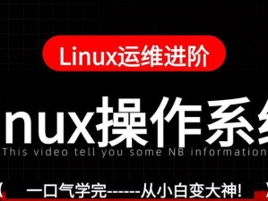 Linux系统改装教程（简单易懂的Linux系统改装指南，让你的系统更快更适用）