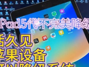如何在不使用电脑的情况下对iPad进行降级（简单易行的方法帮助您回退iPad操作系统版本）