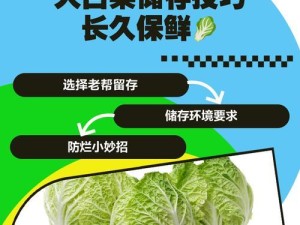 使用ISO镜像用大白菜装系统教程（简单易懂的安装教程，让您快速完成系统安装）