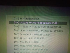 大白菜装系统教程（以大白菜为基础，轻松搭建高效系统！）