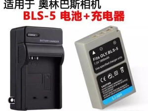 探索奥林巴斯E420的卓越表现与功能（了解奥林巴斯E420的特点、拍摄效果和适用场景）