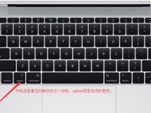 以惠普台式PE启动教程（让您的电脑重获新生，轻松应对各种故障）
