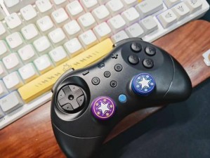 如何解决以Pro手柄连接电脑错误（错误提示和解决方案汇总）