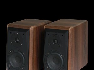 以爱HIFI音箱如何满足你的音乐需求（探索高品质音乐的完美伴侣）