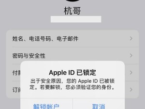 探究电脑密码输入错误的原因与解决方法（密码错误次数过多的问题分析与解决方案）