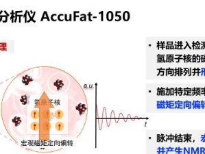磁场紊乱对电子的影响（探究磁场紊乱对电子运动的影响及机制）