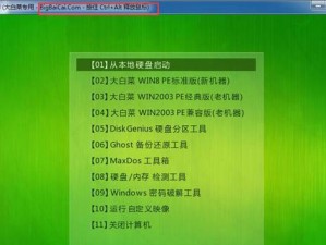 用大白菜安装黑苹果系统的终极教程（一键搞定黑苹果系统安装，轻松享受Mac体验）