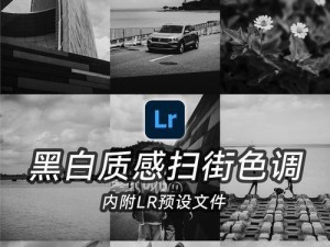 用LR航拍调色教程打造令人惊叹的电脑背景画面（完美的LR调色技巧和技巧，让你的电脑屏幕焕发活力）