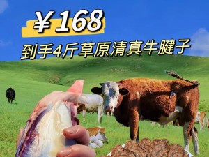 以好牛168怎么样？——全面评价与使用体验（-好牛168、一站式服务、用户评价、功能介绍）