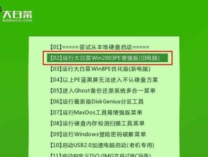 使用PE启动U盘进行分区的简易教程（轻松实现U盘分区，提升存储效率）