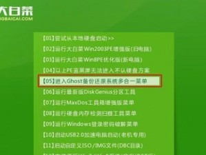 如何解决以大白菜装不进系统问题（详细教程分享，助您成功安装系统）