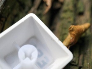 森松尼K1（探索森松尼K1的卓越功能和出色性能）