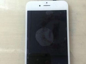 探究韩版iPhone6s的优势与特点（揭秘iPhone6s韩版的核心卖点及用户体验）