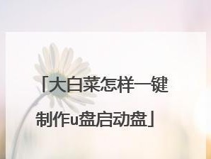 大白菜如何重装ISO系统教程（简单易懂的重装ISO系统教程分享，让你轻松搞定重装问题）