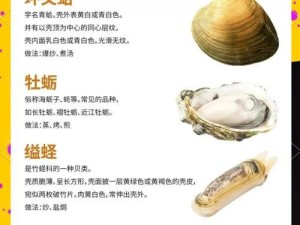 贝壳单词（让你轻松提升英语水平的关键）