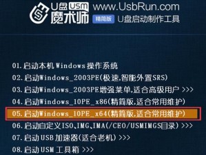 苹果如何使用U盘安装系统（一步步教你如何使用U盘轻松安装系统）