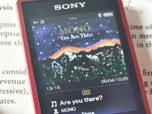 索尼A25HN性能与特点全面解析（索尼A25HN超清画质与高音质的完美融合）