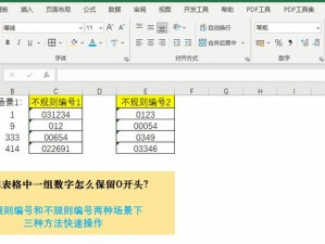 电脑数字显示格式错误的原因及解决方法（数字显示错误的常见问题及处理技巧）
