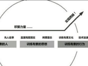 从优秀到卓越（关键技巧与实践经验，打造非凡成就）