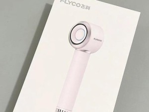 以飞科吹风机（高性能、多功能，让你每天造型无忧）