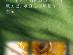 iPad闹钟不关，后果会如何？（探究iPad闹钟长时间不关的影响及解决方法）