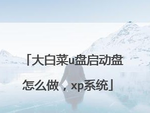 电脑大白菜系统安装教程（从零开始，轻松学会安装电脑大白菜系统）