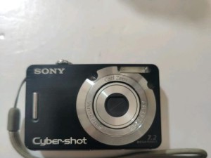 索尼DSCW810数码相机的优缺点剖析（一款适合入门级摄影爱好者的便携相机）