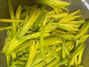 黄花菜的毒性及注意事项（了解黄花菜的毒性，享受美味健康）