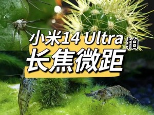 小米5x评价怎么样？一起来看看！（小米5x的性能、拍照、续航等方面如何？）