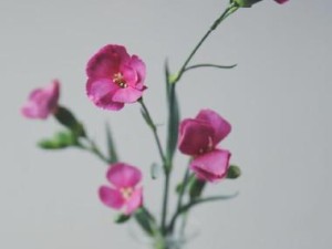 小版手机（颠覆你对手机的认知，以小见大的智能体验）