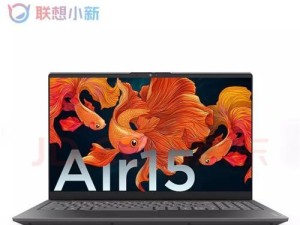 小新电脑PIN密码输入错误次数过多的解决方法（保护个人信息安全，避免PIN密码泄露）