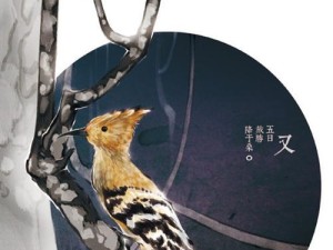 戴胜键盘的使用体验（打造高效舒适的工作体验）