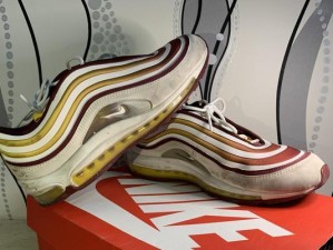 探索MAX97220的卓越音频性能（揭秘MAX97220芯片的功能和应用领域）