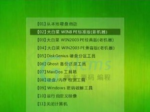 大白菜工具克隆安装系统教程（快速安装系统，省时省力又高效）