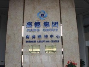 金霞内存的性能与优势（探索金霞内存的卓越表现及其在计算领域的应用）