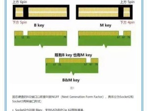 使用戴尔笔记本光盘装系统的详细教程（戴尔笔记本光盘装系统，从入门到精通）