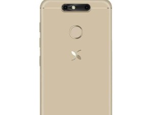 小鲜5质量评估报告（深度剖析小鲜5的品质与口碑，揭秘其关键之处）
