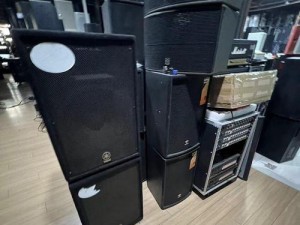音箱设备利润分析（音箱设备市场利润前景及关键因素分析）
