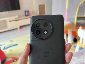 一加手机（领先同行的高性价比之选）